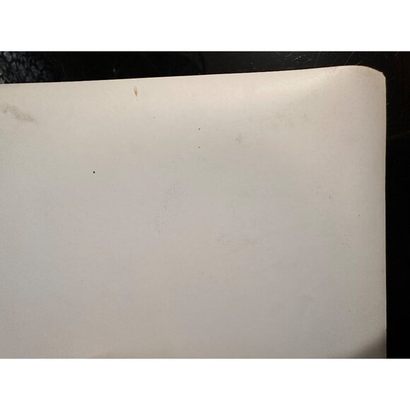 Vintage 1959 "A Dog Of Flanders" Movie Still Photo With David Ladd & Donald Cris - Picture 11 of 14